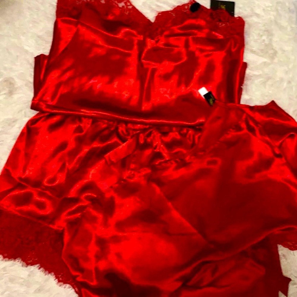 SEXY DARING NWT LINGERIE